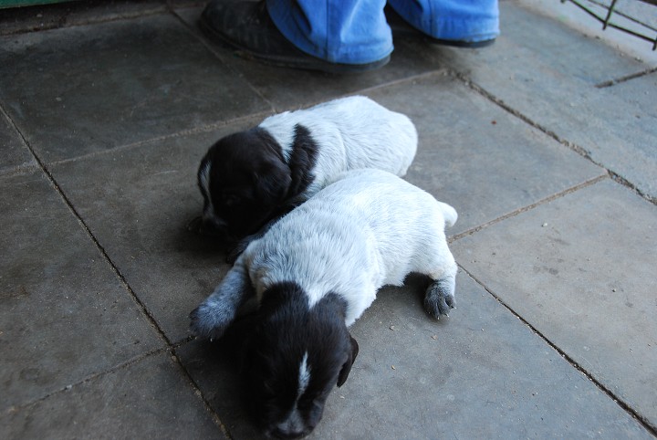 img00001.jpg