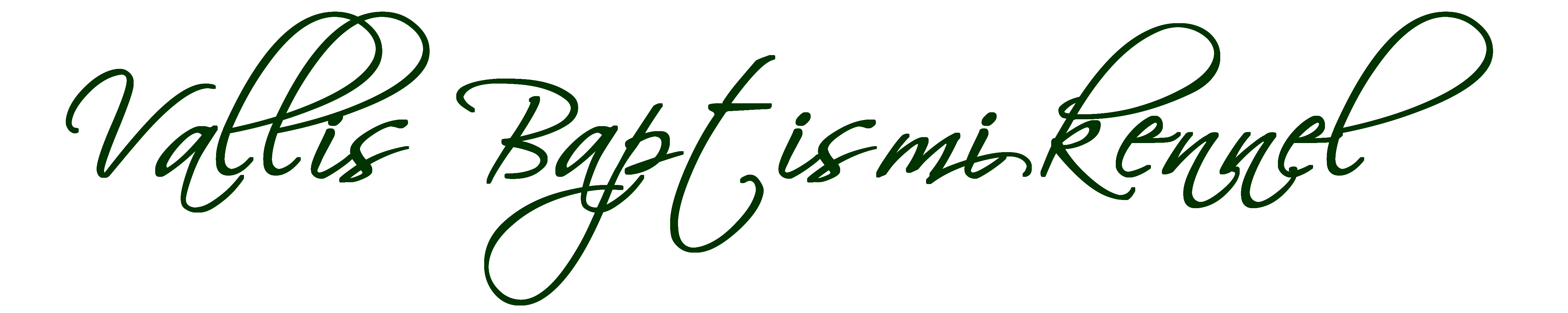 český fousek ČF