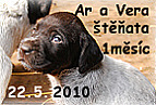 štěňata Ar a Vera - 1 měsíc