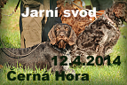 Foto jarni svod loveckých psů Černá Hora 2014