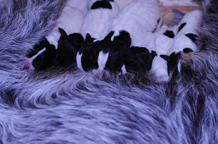 img00006.jpg