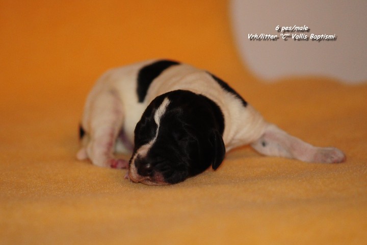 img00021.jpg