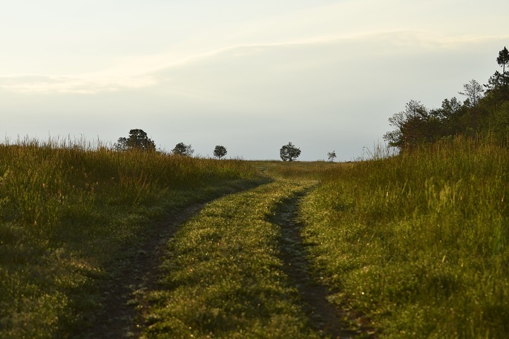 img00001.jpg