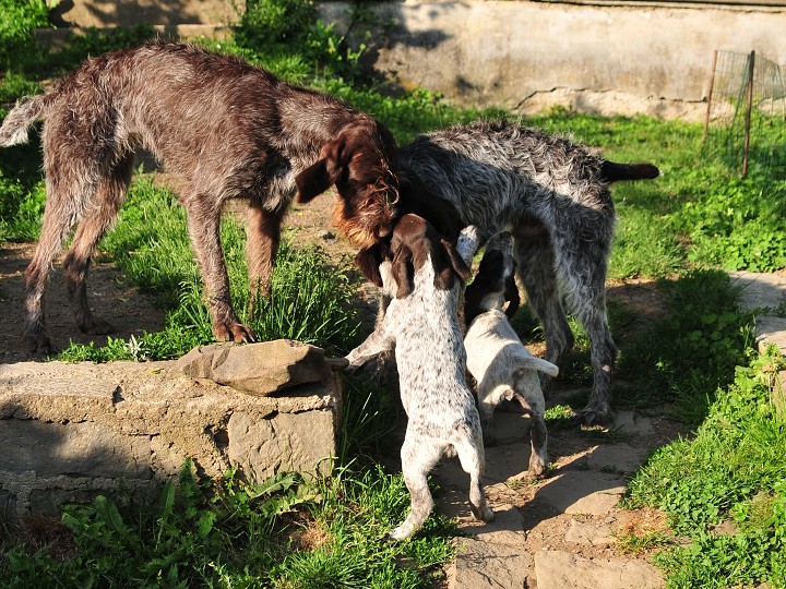 img00020.jpg