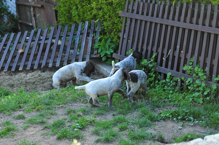 img00023.jpg