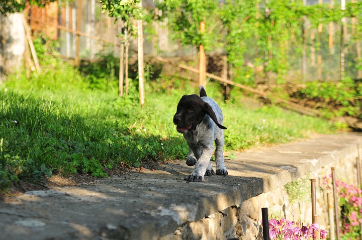img00026.jpg