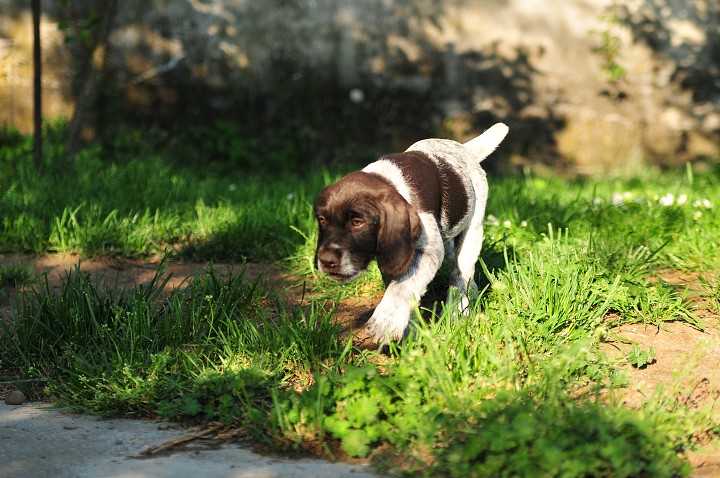 img00027.jpg