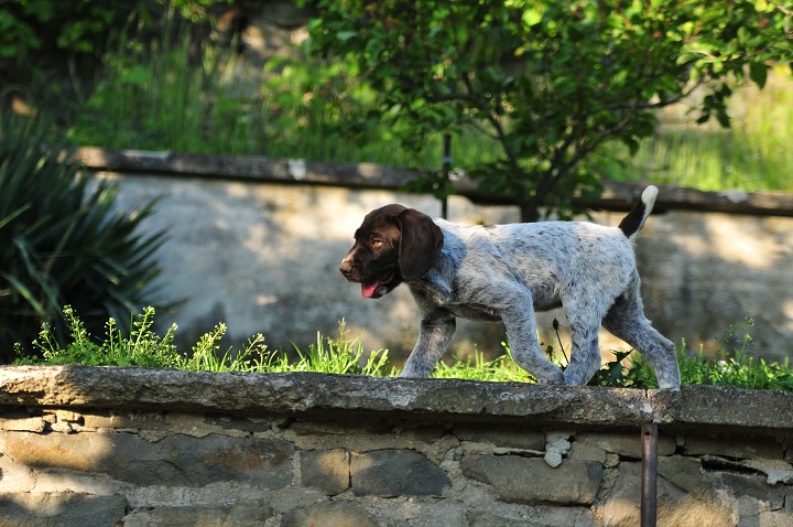 img00031.jpg