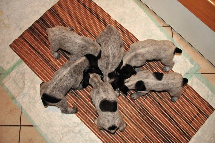 img00001.jpg