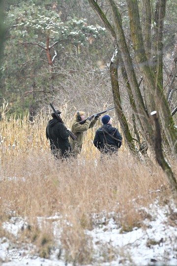 img00023.jpg