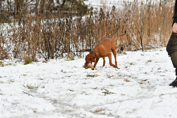 img00034.jpg