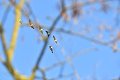 1/1000 s, F4.0, ISO 200