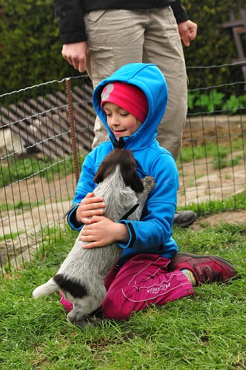 img00027.jpg
