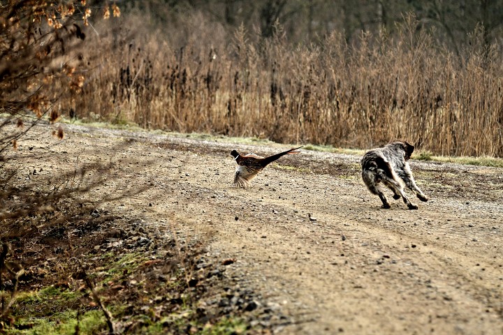 img00018.jpg