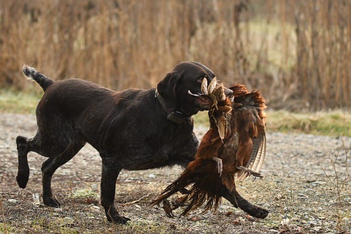 img00019.jpg