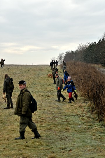 img00020.jpg