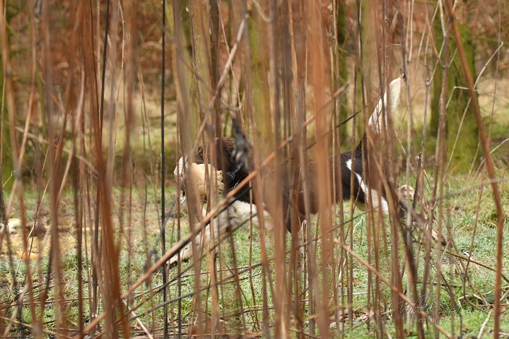 img00021.jpg