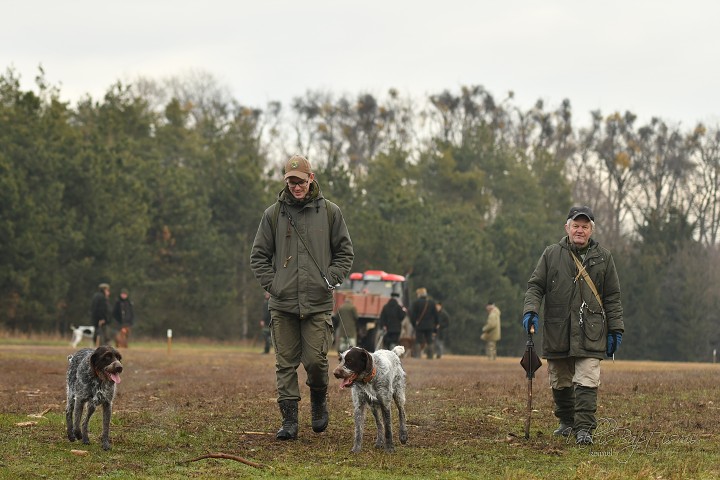 img00034.jpg