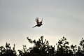 1/1250 s, F2.8, ISO 100