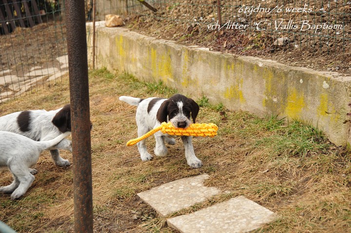 img00013.jpg