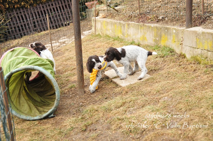 img00017.jpg