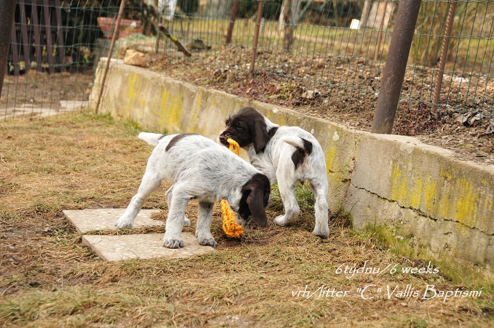 img00018.jpg