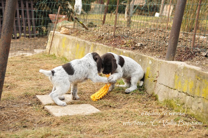 img00019.jpg