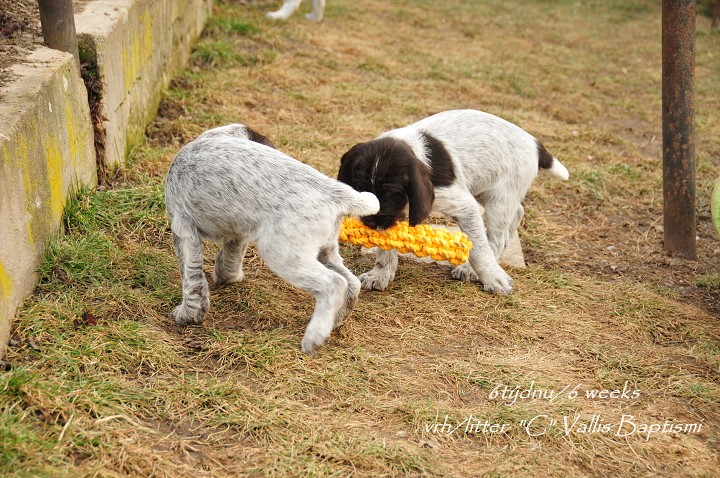img00022.jpg