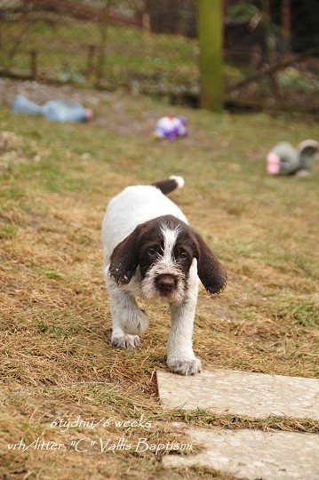 img00028.jpg