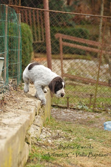 img00033.jpg