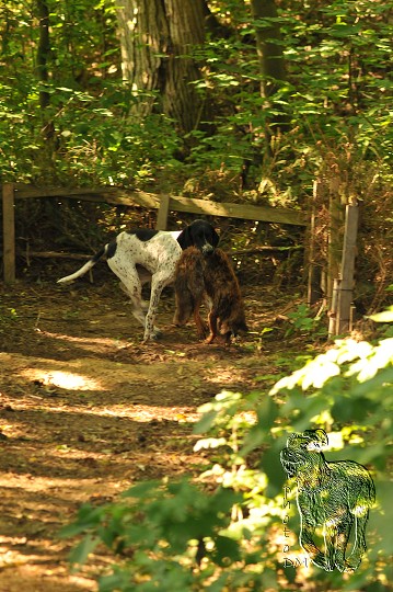 img00002.jpg