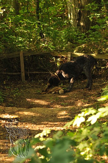 img00007.jpg