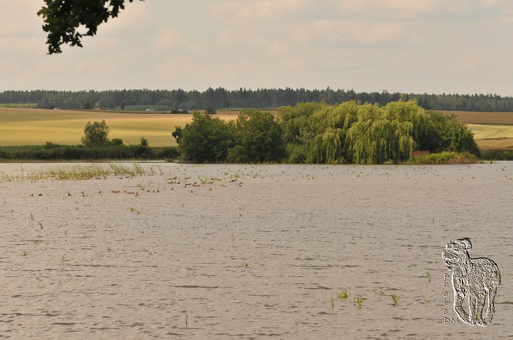 img00027.jpg