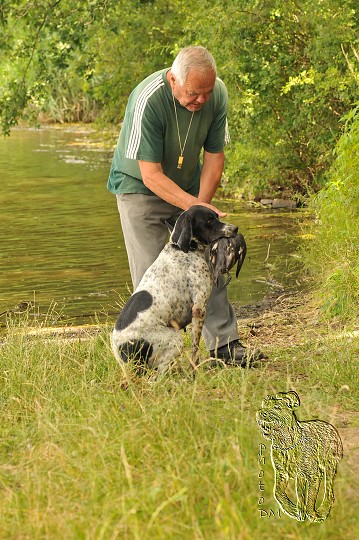 img00031.jpg