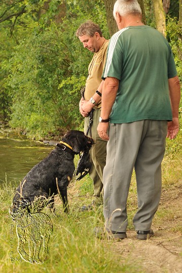 img00038.jpg