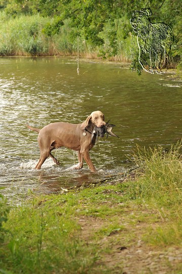 img00040.jpg