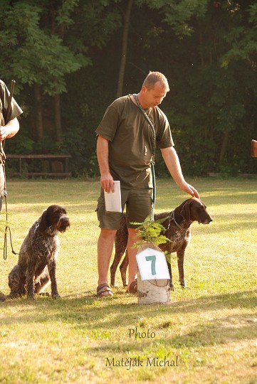 img00013.jpg