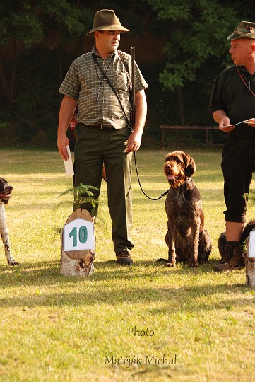 img00017.jpg