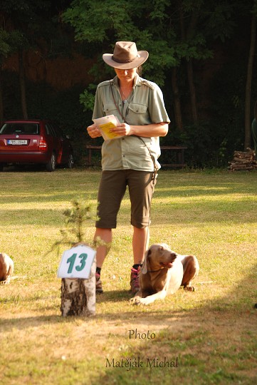 img00020.jpg