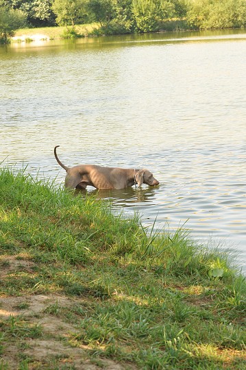 img00063.jpg