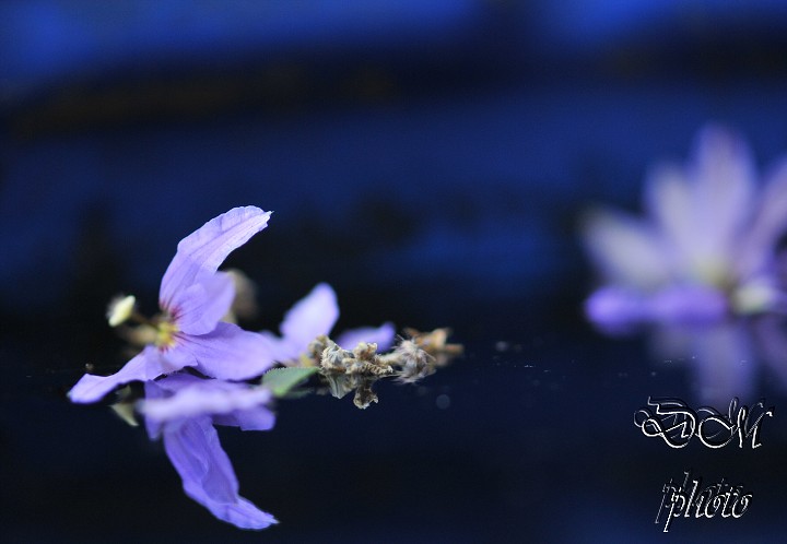 img00015.jpg