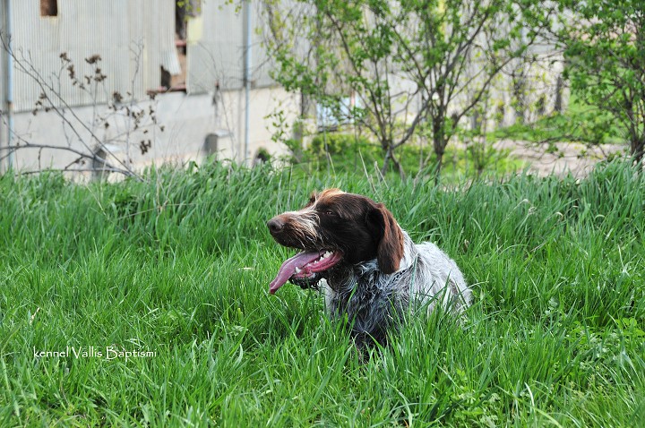 img00006.jpg
