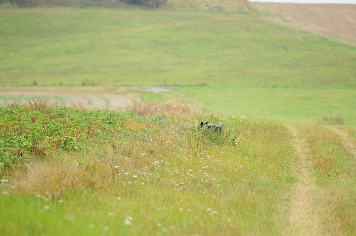 img00032.jpg