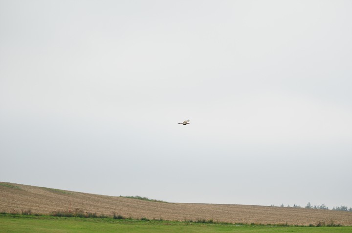 img00033.jpg