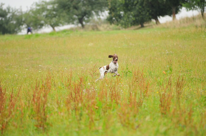 img00048.jpg