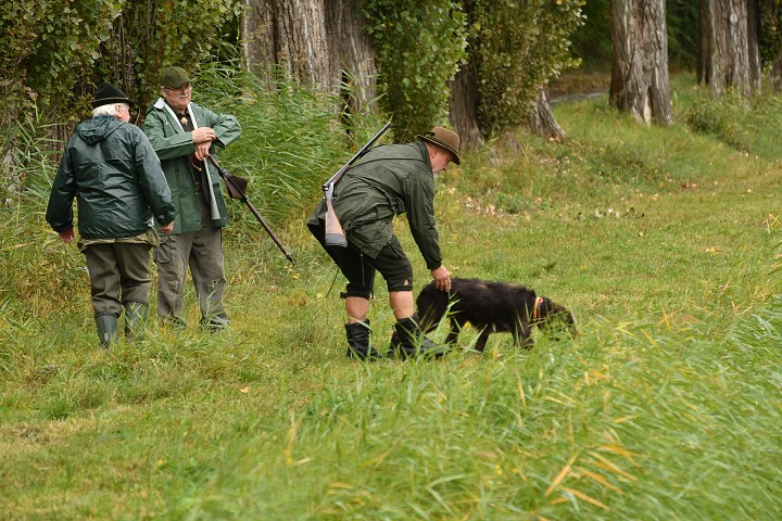 img00007.jpg