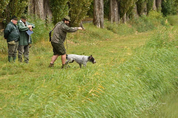 img00012.jpg