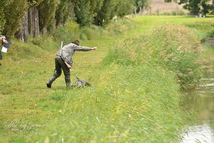 img00017.jpg