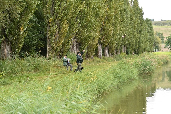 img00019.jpg
