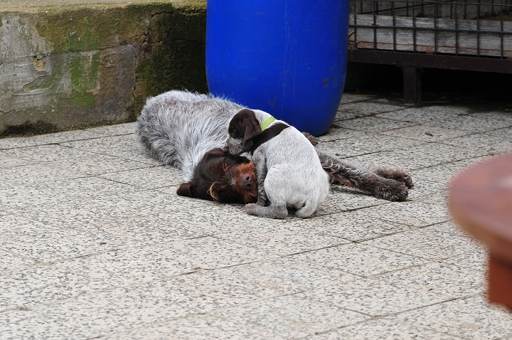 img00024.jpg